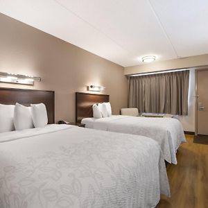 Deluxe Room Two Double Beds Smoke
